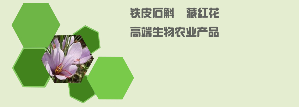 寧波市科力電源有限公司